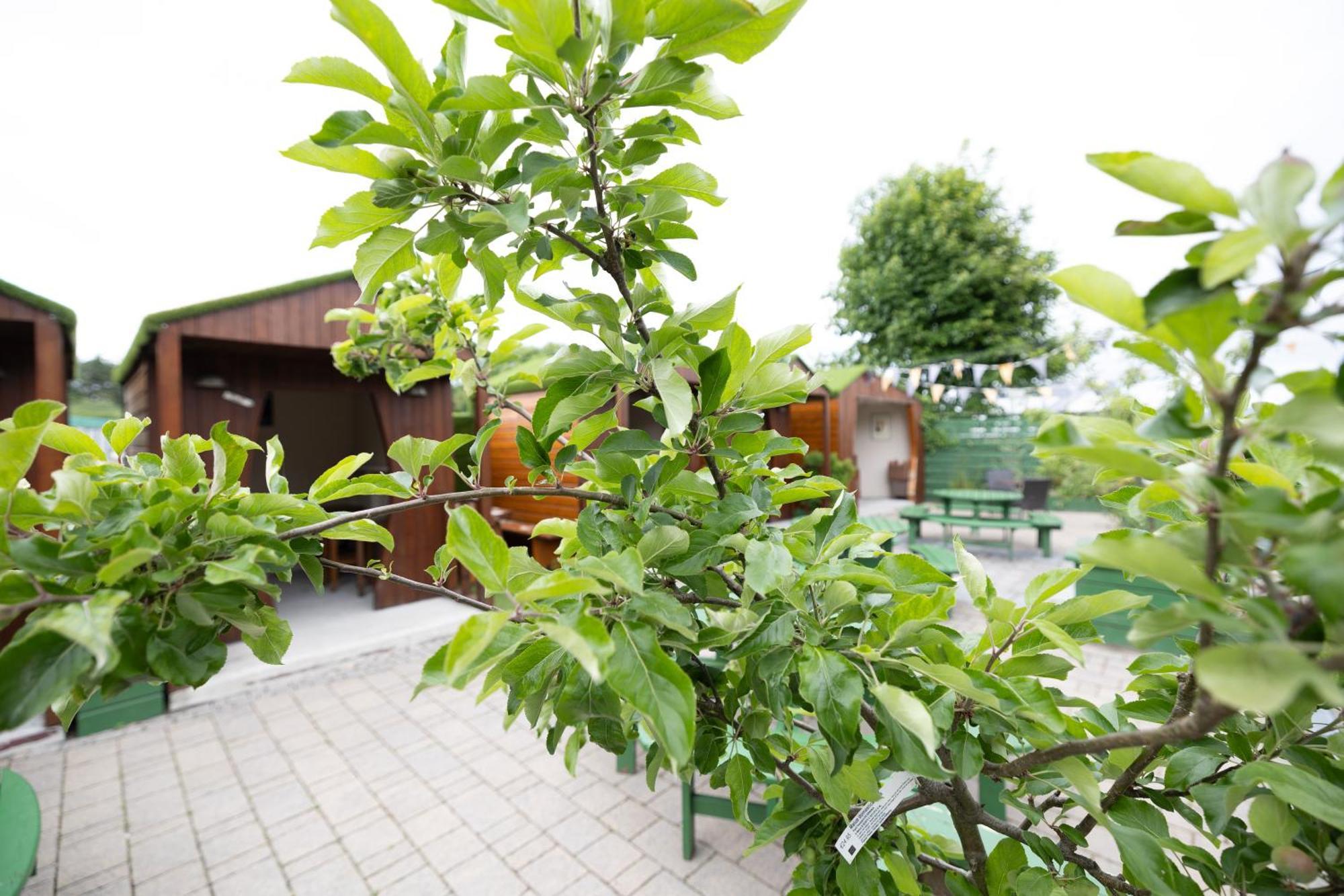 基尔根尼 The Orchard House酒店 外观 照片